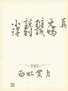 小说推文真的赚得到钱吗