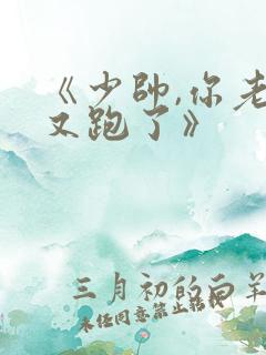 《少帅,你老婆又跑了》 《少帅,你老婆又跑了》