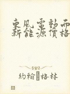 东风电动面包车新能源价格