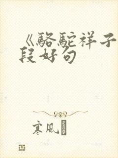 《骆驼祥子》好段好句