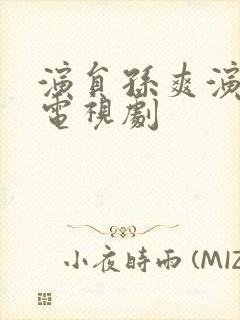 演员孙爽演过的电视剧