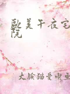 欧美午夜宅男影院 欧美午夜宅男影院