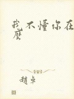 我不懂你在说什么 我不懂你在说什么