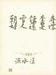 朝雪录李寺卿是好人还是坏人
