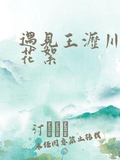 遇见王沥川未播花絮 遇见王沥川未播花絮