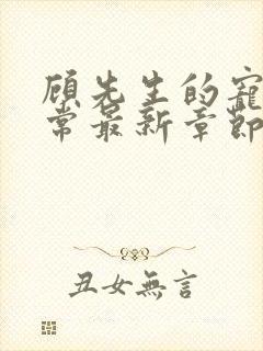 顾先生的宠妻日常最新章节免费阅读 顾先生的宠妻日常最新章节免费阅读