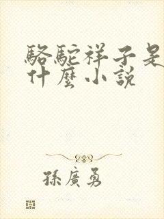 骆驼祥子是一篇什么小说