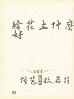 给花上什么肥料好