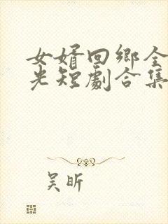 女婿回乡全村风光短剧合集 女婿回乡全村风光短剧合集