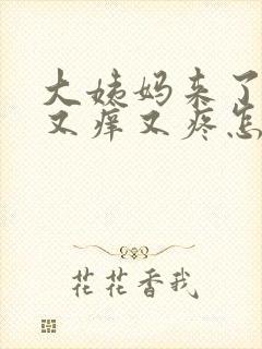 大姨妈来了阴部又痒又疼怎么回事