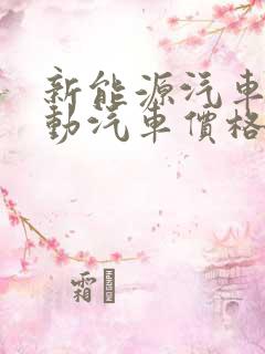 新能源汽车纯电动汽车价格