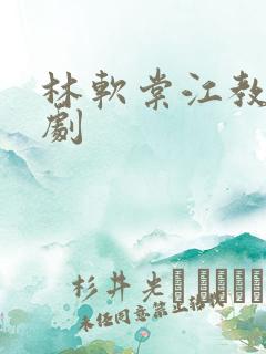 林软棠江教授短剧