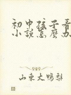 初中孩子看言情小说怎么办