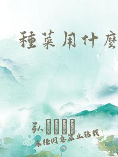 种菜用什么肥