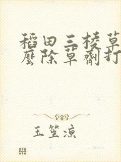 稻田三棱草用什么除草剂打?