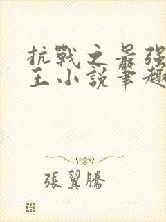 抗战之最强西南王小说笔趣阁