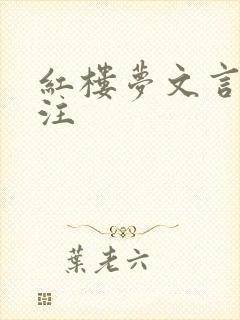 红楼梦文言文批注