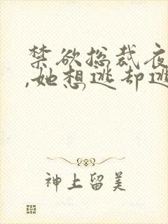 禁欲总裁夜夜缠,她想逃却逃不掉祁砚峥温