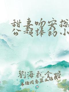 甜妻吻安总裁老公超棒的小说