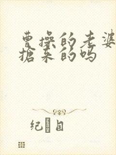 曹操的老婆都是抢来的吗