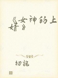 《女神的上门豪婿 》
