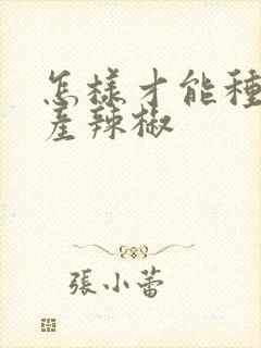 怎样才能种出高产辣椒