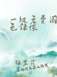 一级免费国产黄色录像