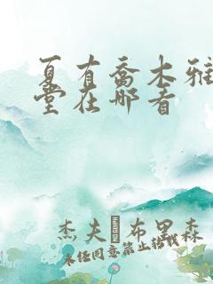 夏有乔木雅望天堂在哪看 夏有乔木雅望天堂在哪看