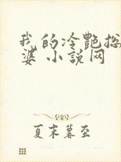 我的冷艳总裁老婆 小说网