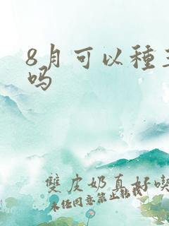 8月可以种玉米吗
