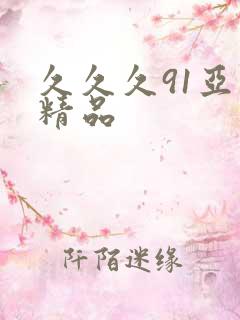 久久久91亚洲精品