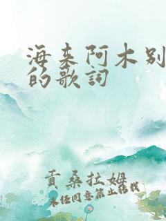 海来阿木别知己的歌词