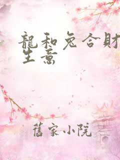 龙和兔合财吗做生意