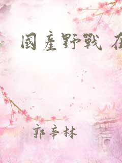 国产野战 在线