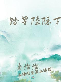 踏星陆隐下载 踏星陆隐下载