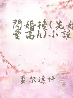 闪婚后(先婚后爱高h)小说