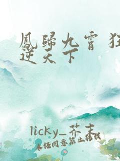 凤归九霄 狂妃逆天下