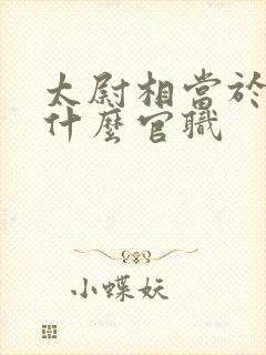太尉相当于现在什么官职
