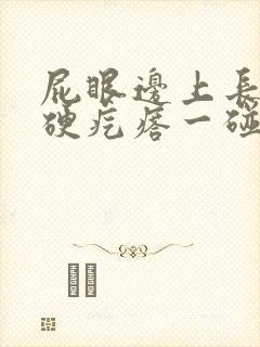屁眼边上长了个硬疙瘩一碰会疼