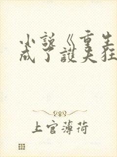 小说《重生后我成了护夫狂魔》
