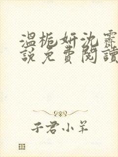 温栀妍沈霁寒小说免费阅读