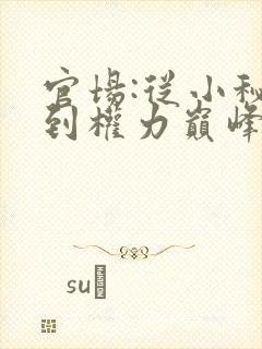 官场:从小秘书到权力巅峰小说在线阅读