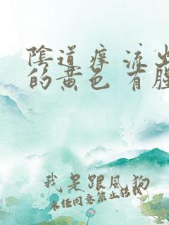 阴道痒 流出来的黄色 有腥臭味 阴道痒 流出来的黄色 有腥臭味
