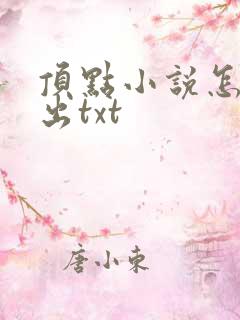 顶点小说怎么导出txt