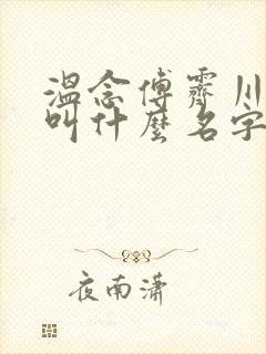 温念傅霁川小说叫什么名字