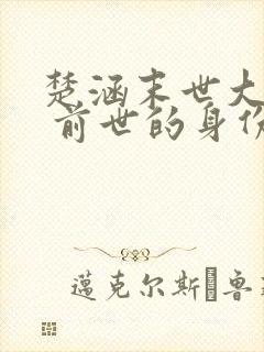 楚涵末世大回炉 前世的身份