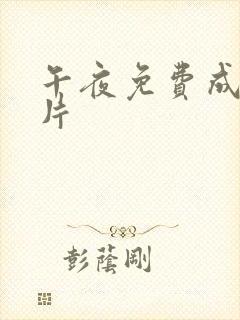 午夜免费成人大片