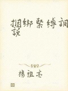捆绑紧缚调教小说