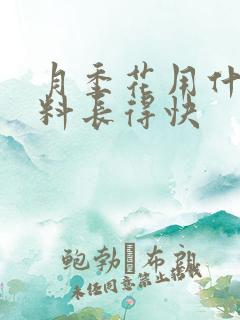 月季花用什么肥料长得快
