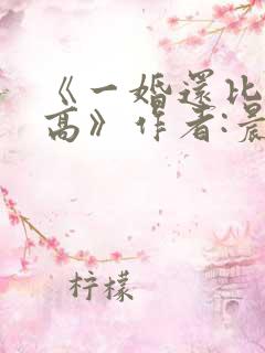 《一婚还比一婚高》作者:晨雾的光